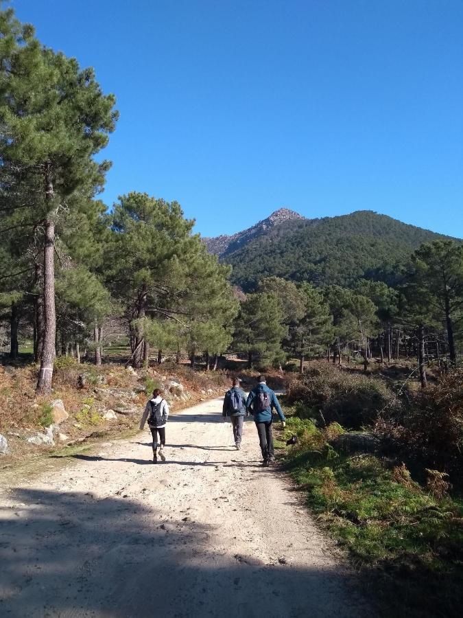 La Plazuela Del Tietar, Diseno Y Descanso En Gredos Sur Holiday home Casavieja